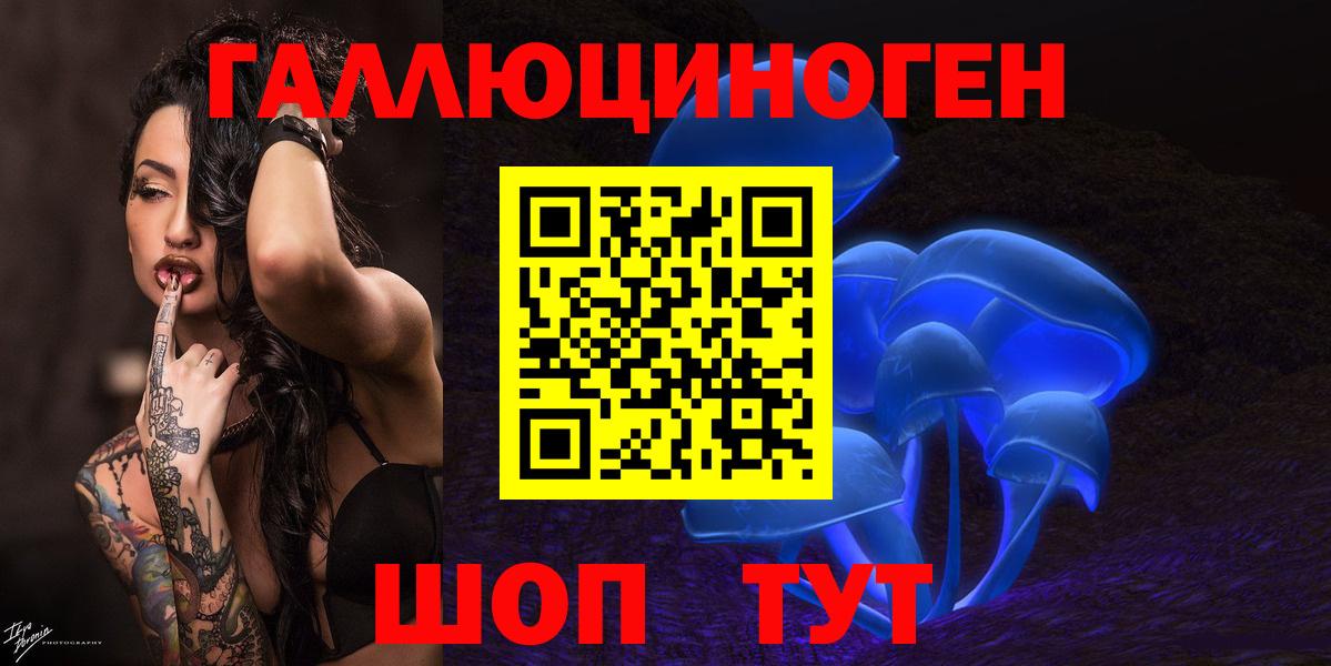 Киселёвск  Галлюциногенные грибы мицелий  Вход с VPN 