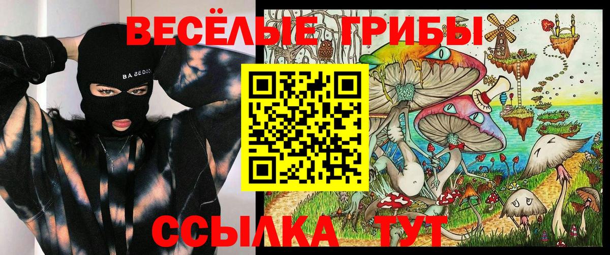 Псилоцибиновые грибы ЛСД Киселёвск